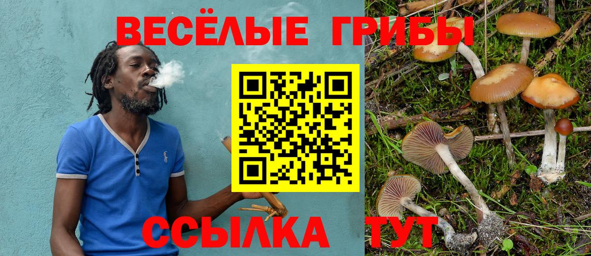 Псилоцибиновые грибы MAGIC MUSHROOMS Усть-Илимск